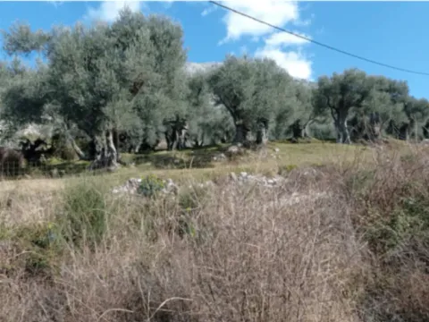 Prodaja, plac, 813m², Dobre Vode, Bar - image 9