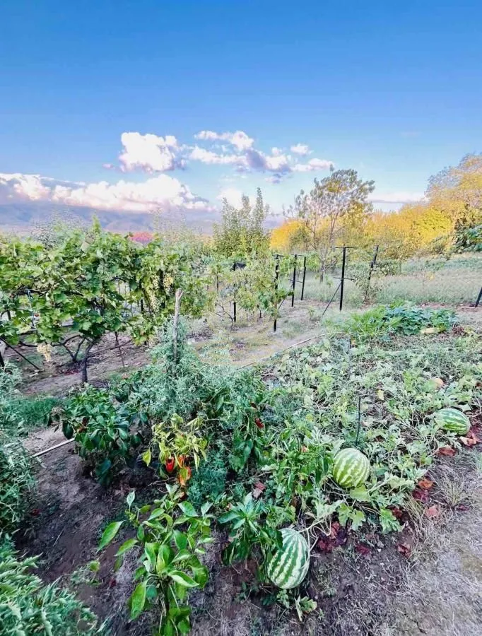 Prodaja, kuća, 57m², Vrnjačka Banja, Srbija