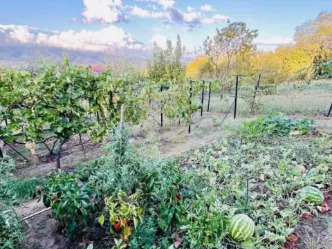 Prodaja, kuća, 57m², Vrnjačka Banja, Srbija - image 20