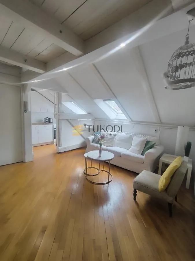 Rent, one bedroom apartment, 45m², Botanička Bašta, Palilula Sve Podlokacije