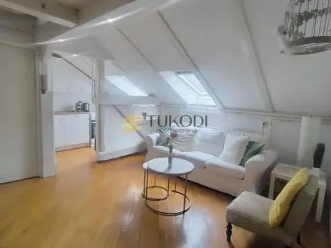 Rent, one bedroom apartment, 45m², Botanička Bašta, Palilula Sve Podlokacije - image 9