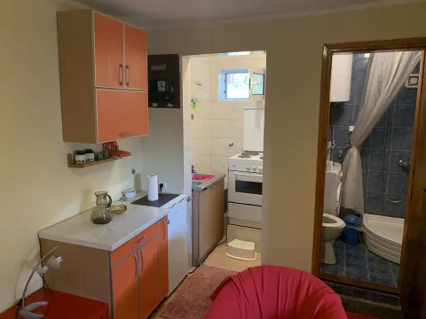 Rent, studio apartment, 30m², Preko Morače, Podgorica - image 3