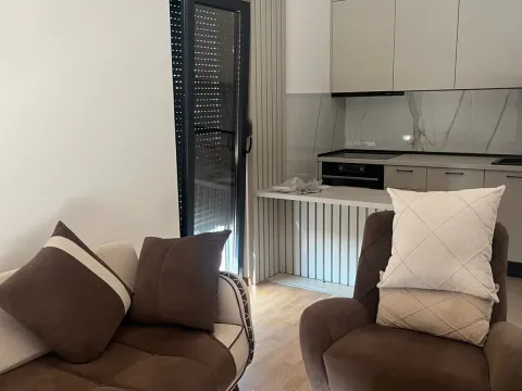 Izdavanje, jednosoban stan, 39m², Zabjelo, Podgorica - image 7