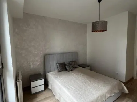 Izdavanje, dvosoban stan, 57m², Savski Venac, Beograd - image 11