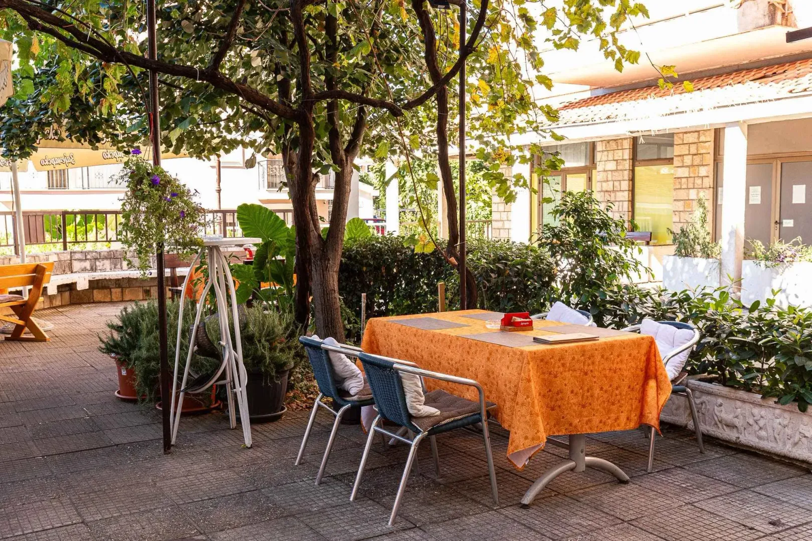 Paved yard with a table and chairs in the shade of a tree.