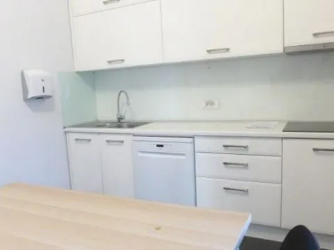 Izdavanje, kuća, 550m², Autokomanda, Voždovac Sve Podlokacije - image 7