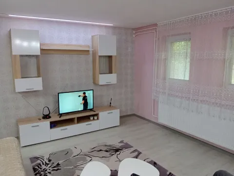 Izdavanje, dvosoban stan, 36m², Sajmište, Novi Sad - image 2