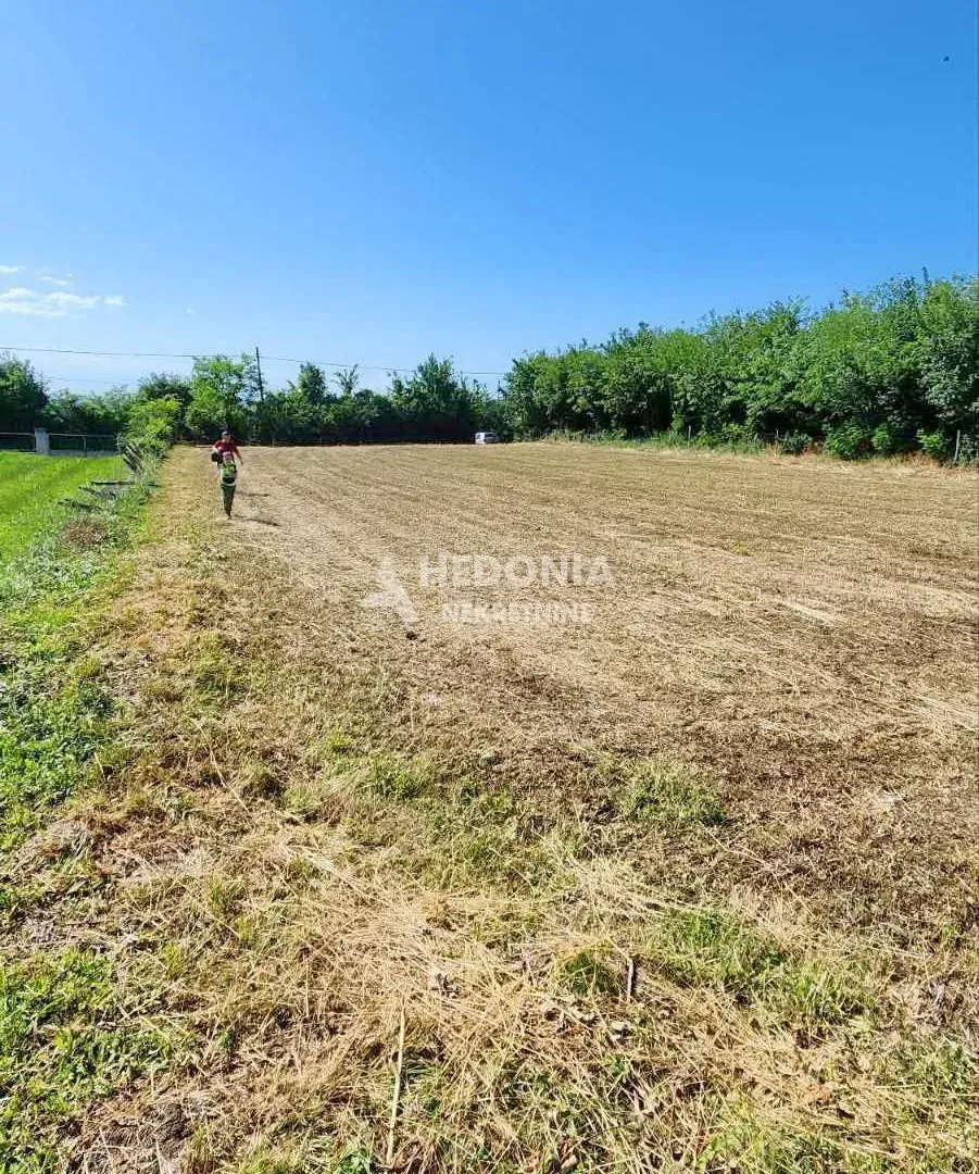 Prodaja, plac, 1350m², Mladenovac selo, Mladenovac