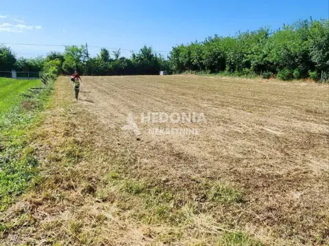 Prodaja, plac, 1350m², Mladenovac selo, Mladenovac - image 4