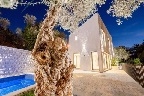 Prodaja, kuća, 240m², Kamenovo, Budva - image 18