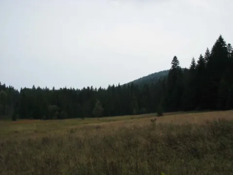 Prodaja, plac, 8600m², Tara, Srbija - image 10