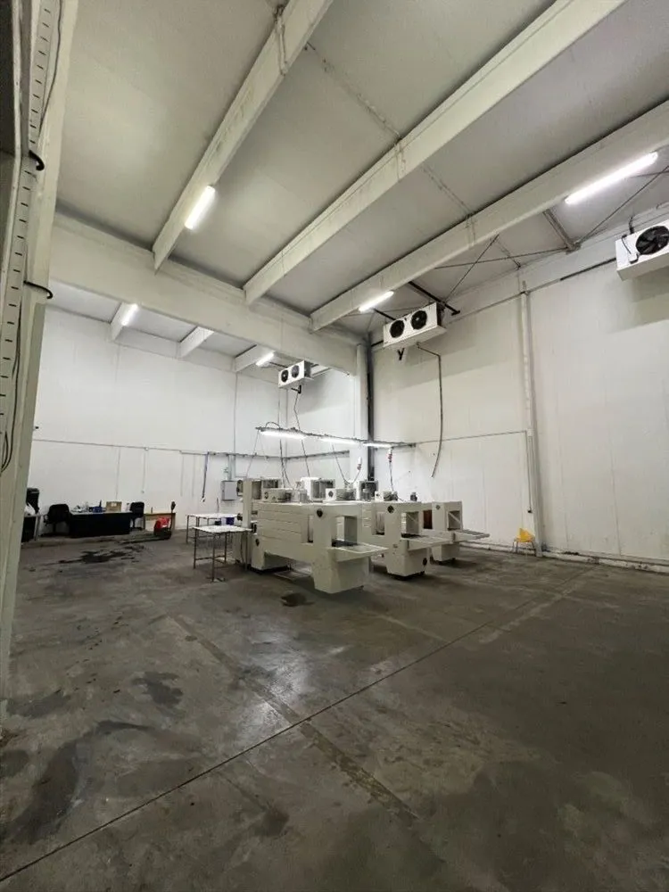 Rent, office space, 3200m², Šimanovci, Pećinci