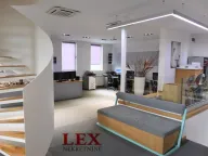 Izdavanje, poslovni prostor, 145m², Čukarica, Beograd - image 7