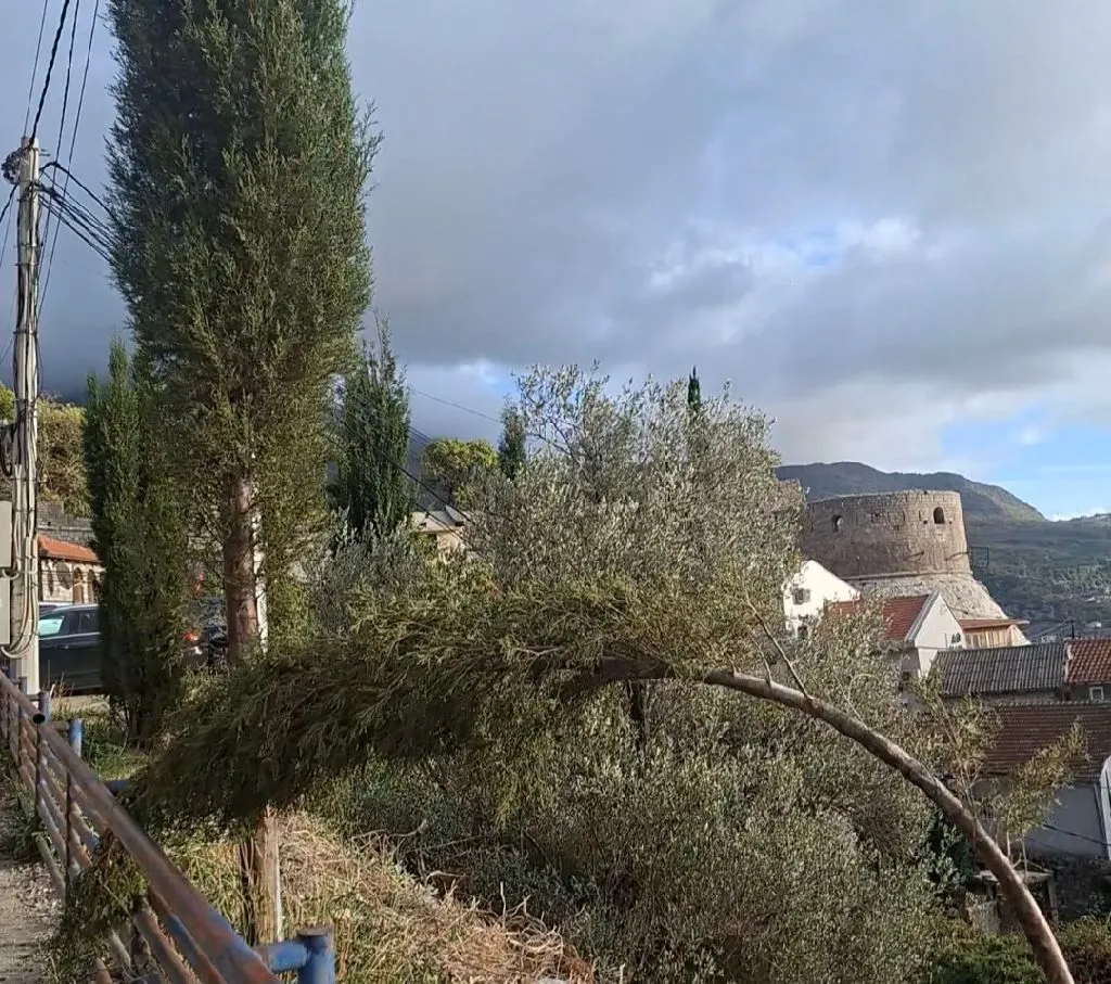 Pogled na stari grad i okolno zelenilo sa terase ili ulice.