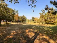 Izdavanje, kuća, 356m², Čenej, Novi Sad Sve Podlokacije - image 3