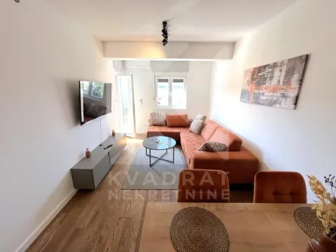 Izdavanje, jednosoban stan, 45m², Zagorič, Podgorica - image 2