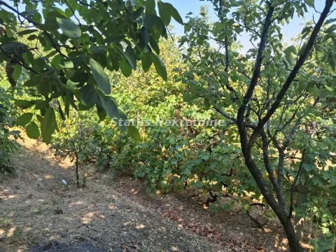 Prodaja, kuća, 30m², Ledinci, Petrovaradin - image 37