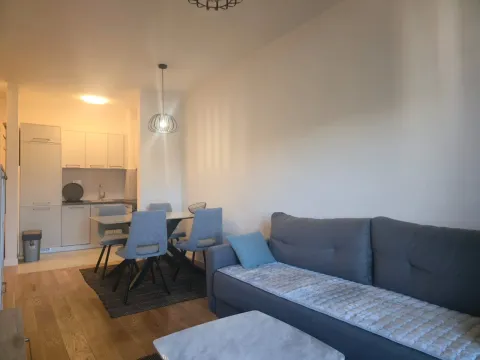 Izdavanje, jednosoban stan, 40m², Central Point, Podgorica - image 3