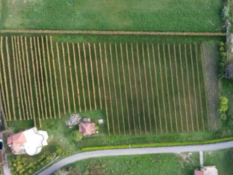 Prodaja, kuća, 120m², Zagorak, Danilovgrad - image 6