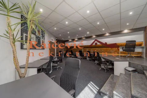 Izdavanje, poslovni prostor, 315m², Banovo Brdo, Beograd - image 6