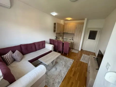 Izdavanje, jednosoban stan, 45m², Stari Aerodrom, Podgorica - image 3