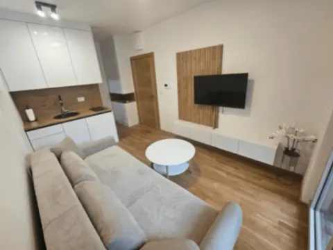 Rent, apartment, 25m², Bečići, Budva - image 6