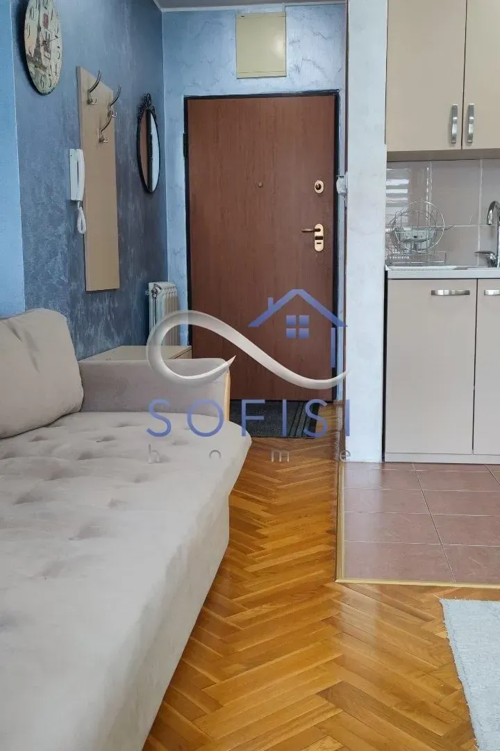Izdavanje, stan, 31m², Bulevar Oslobodjenja, Novi Sad Sve Podlokacije
