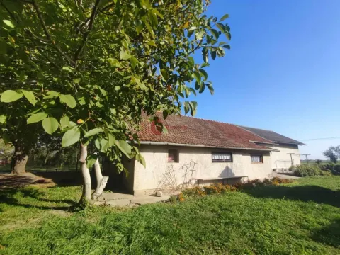 Prodaja, poslovni prostor, 154m², Stari Žednik, Subotica - image 3