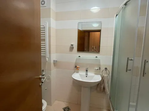 Izdavanje, jednosoban stan, 40m², Stari Aerodrom, Podgorica - image 14