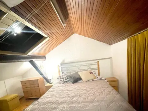 Rent, one bedroom apartment, 40m², Vračar Sve Podlokacije, Beograd - image 5