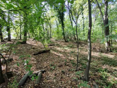 Sale, land lot, 1100m², Irig, Srbija - image 1