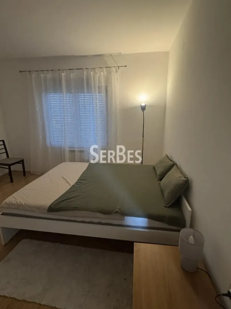 Izdavanje, dvosoban stan, 45m², Bulevar Evrope, Novi Sad Sve Podlokacije