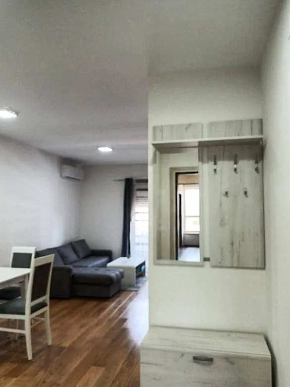 Izdavanje, jednosoban stan, 45m², Central Point, Podgorica
