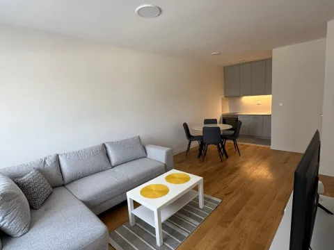 Rent, one bedroom apartment, 49m², Central Point, Podgorica - image 3