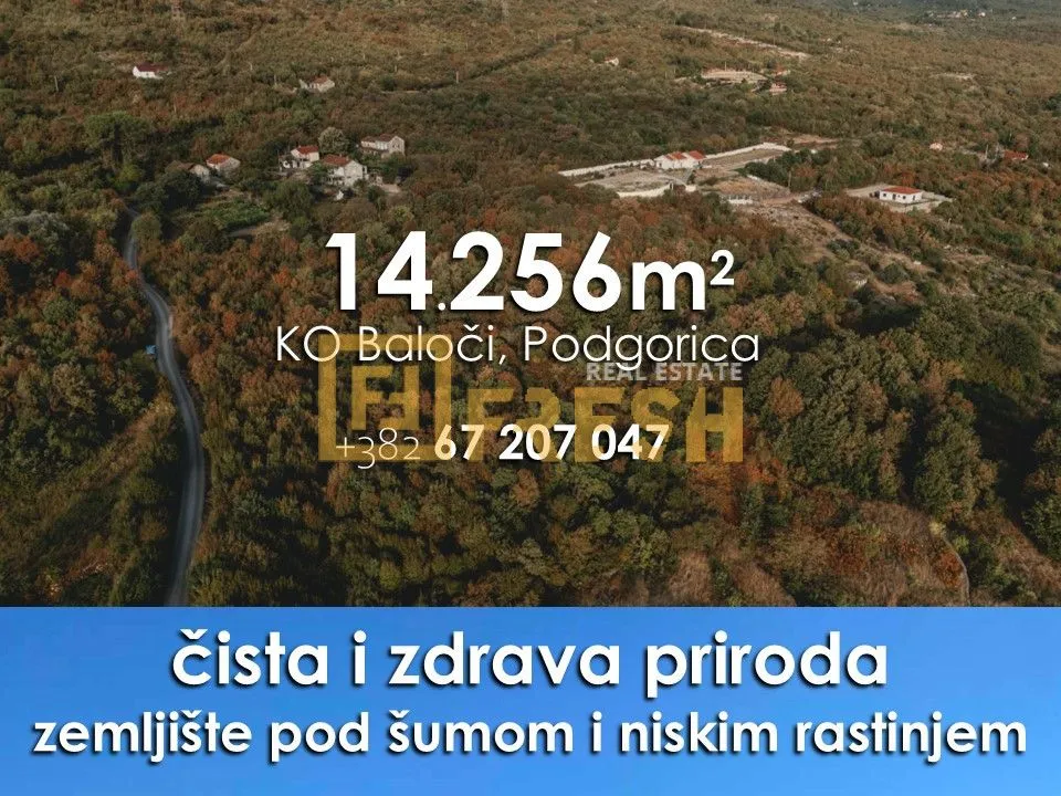 Prodaja, plac, 14256m², Ostalo, Podgorica