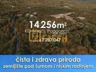 Sale, land lot, 14256m², Ostalo, Podgorica - image 4