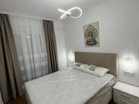 Izdavanje, jednosoban stan, 47m², Stari Aerodrom, Podgorica - image 5