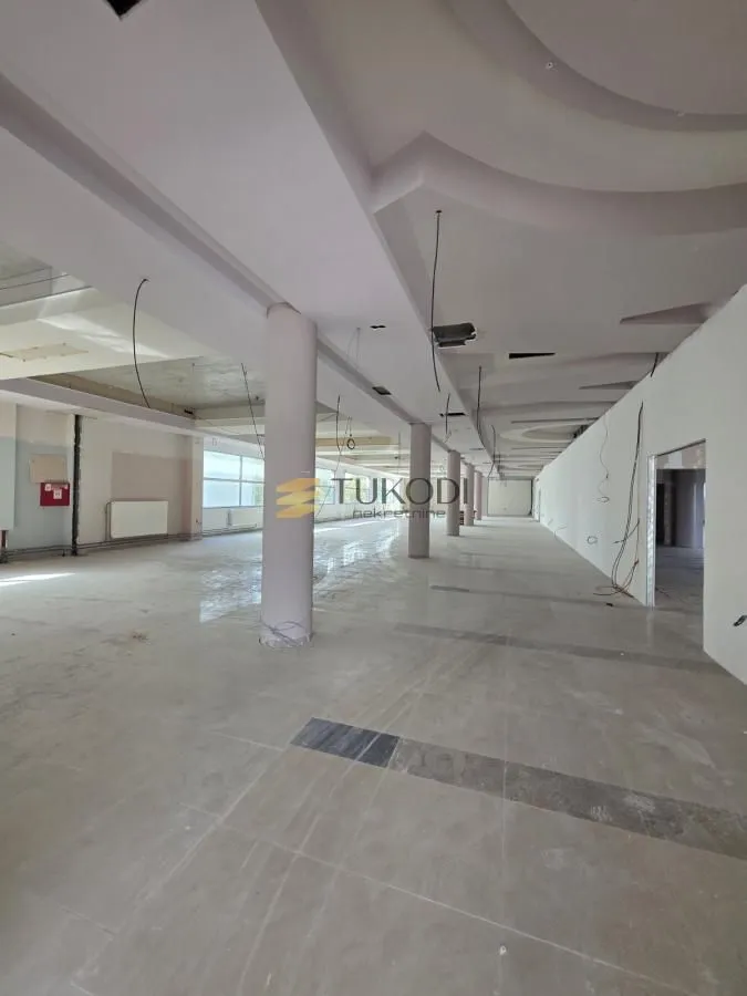 Rent, office space, 4597m², Šangaj, Novi Sad Sve Podlokacije