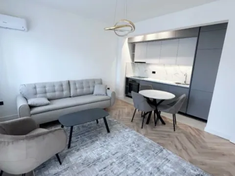 Izdavanje, jednosoban stan, 60m², Stari Aerodrom, Podgorica - image 4