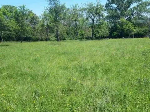 Sale, house, 75m², Baćevac, Barajevo