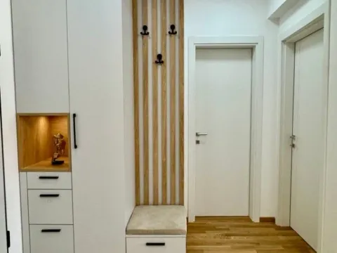 Izdavanje, jednosoban stan, 46m², Stari Aerodrom, Podgorica - image 6