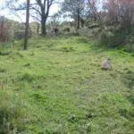 Sale, land lot, 310m², Zagrađe, Bar - image 5