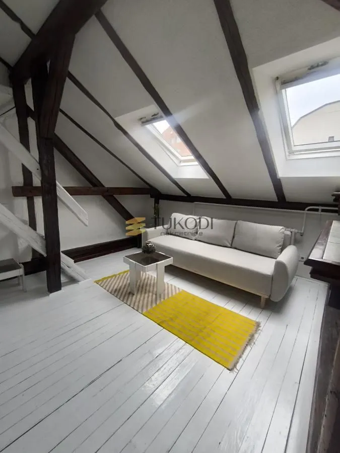 Izdavanje, jednosoban stan, 36m², Botanička Bašta, Palilula Sve Podlokacije