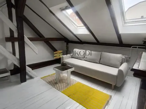 Izdavanje, jednosoban stan, 36m², Botanička Bašta, Palilula Sve Podlokacije - image 1