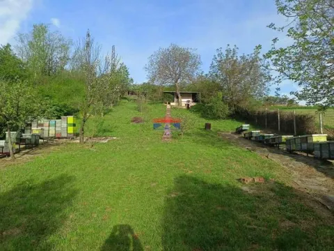 Prodaja, plac, 2882m², Petrovaradin, Novi Sad - image 1