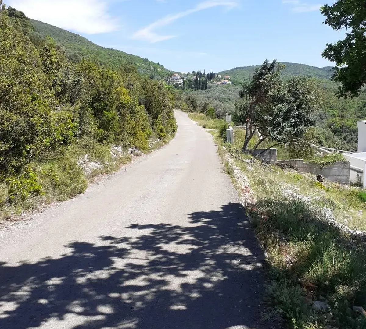 Prodaja, plac, 8000m², Herceg Novi, Crna Gora