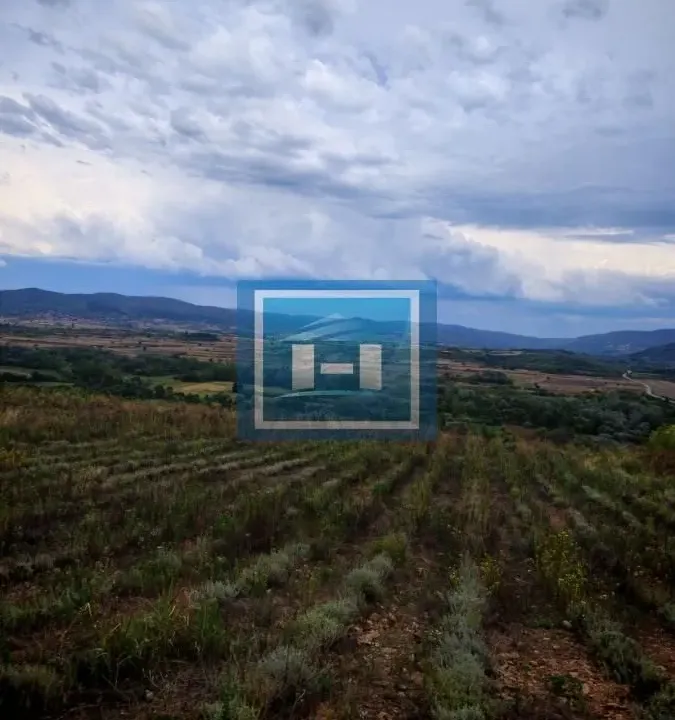 Prodaja, plac, 187m², Bošnjane, Paraćin