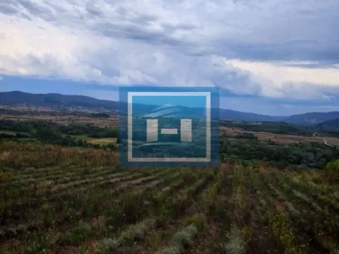 Sale, land lot, 187m², Bošnjane, Paraćin