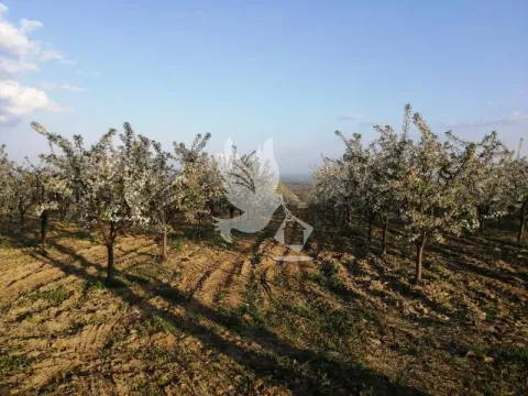 Prodaja, plac, 13700m², Koraćica, Mladenovac - image 11