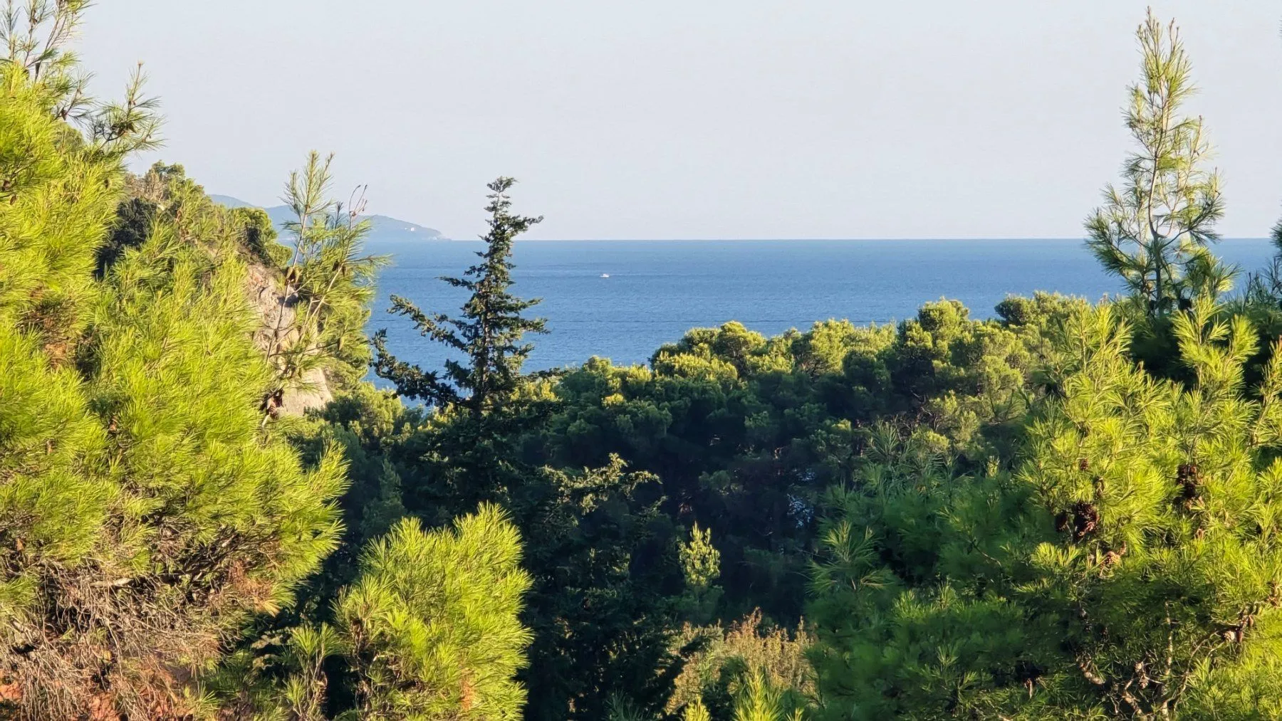 Pogled na more i šumu sa parcele.